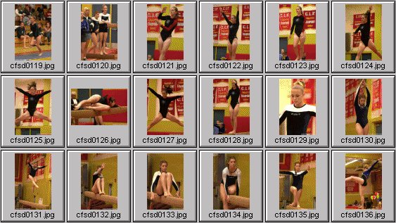 prep womens gymnastics photos