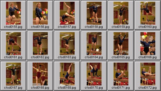 prep womens gymnastics photos
