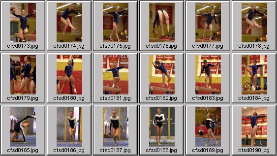 prep womens gymnastics photos