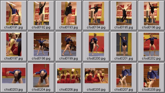 prep womens gymnastics photos