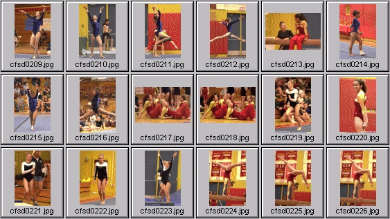 prep womens gymnastics photos