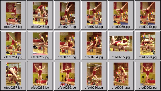 prep womens gymnastics photos
