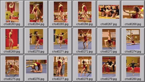 prep womens gymnastics photos