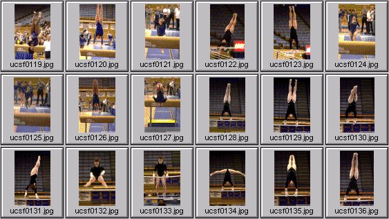 college gymnastics photos