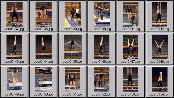 college gymnastics photos