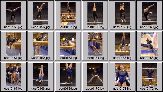 college gymnastics photos