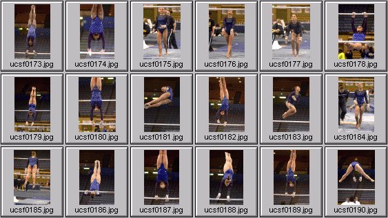 college gymnastics photos