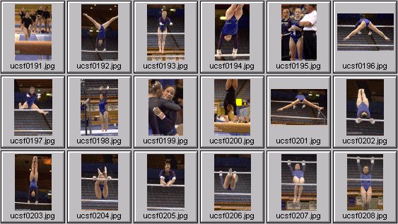 college gymnastics photos