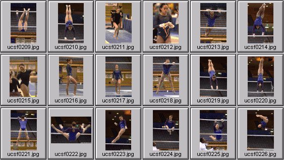 college gymnastics photos