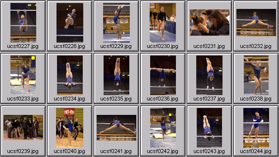 college gymnastics photos
