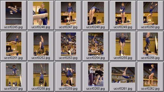 college gymnastics photos