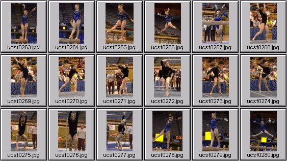 college gymnastics photos