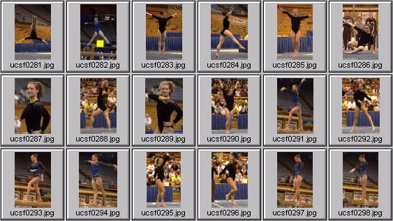 college gymnastics photos