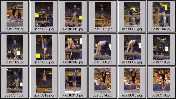 college gymnastics photos