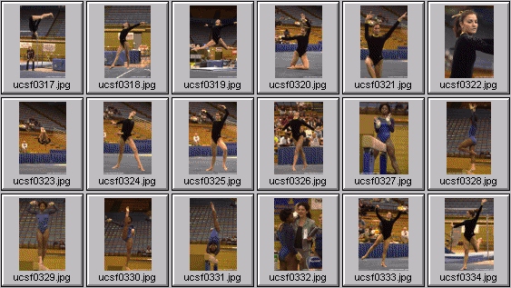college gymnastics photos