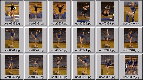 college gymnastics photos