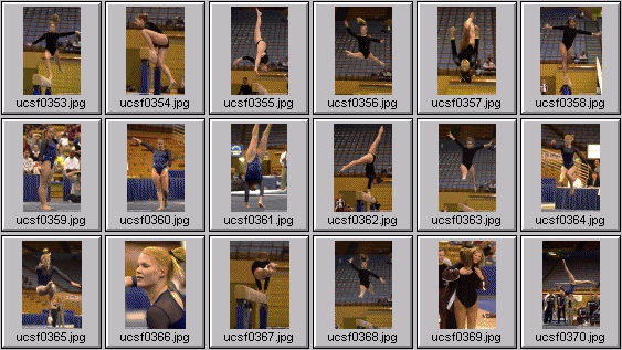 college gymnastics photos