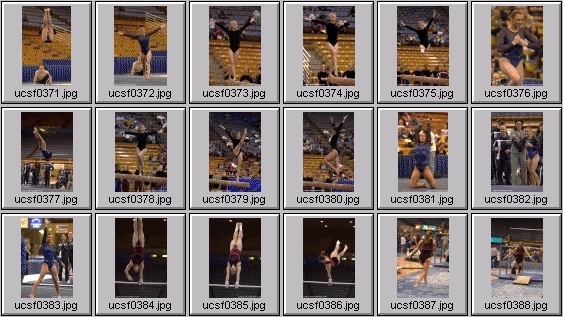 college gymnastics photos