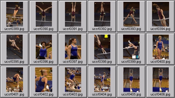 college gymnastics photos