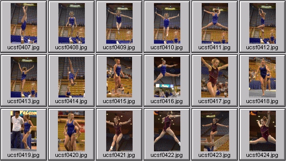 college gymnastics photos