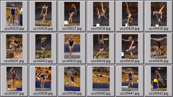 college gymnastics photos