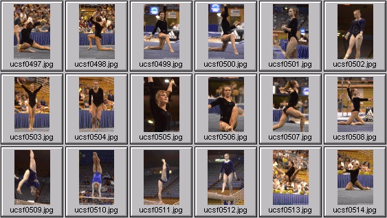 college gymnastics photos
