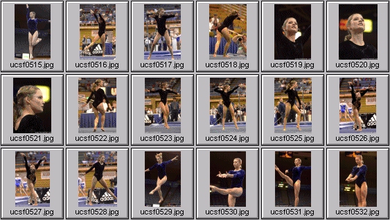 college gymnastics photos