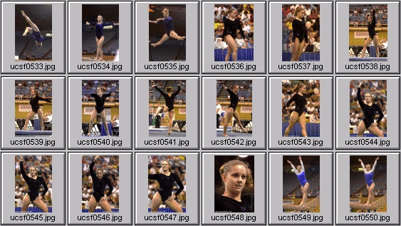 college gymnastics photos