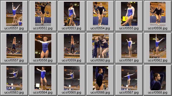 college gymnastics photos
