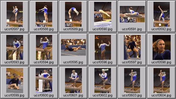 college gymnastics photos