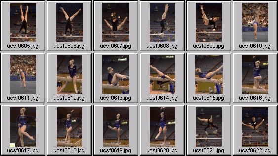 college gymnastics photos