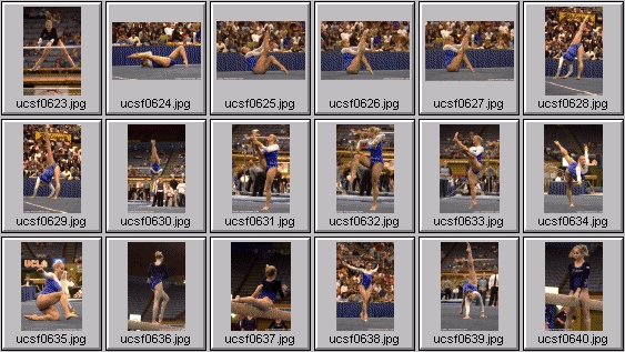 college gymnastics photos