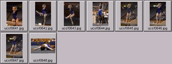 college gymnastics photos