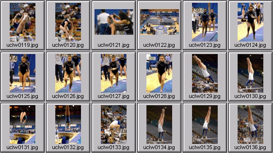 college gymnastics photos