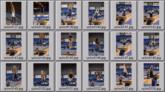 college gymnastics photos