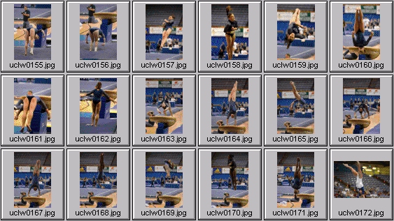 college gymnastics photos