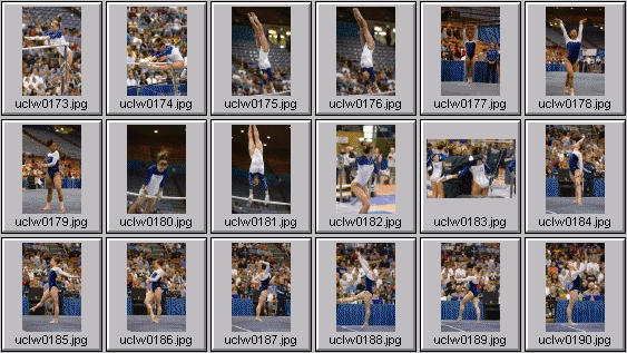 college gymnastics photos