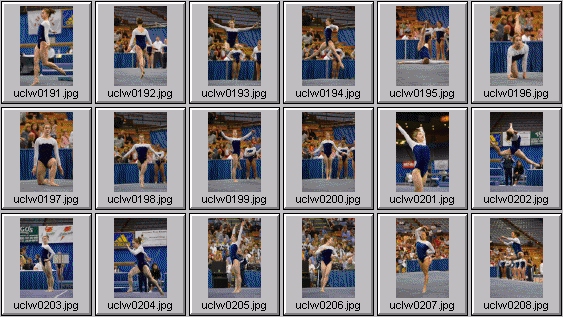 college gymnastics photos