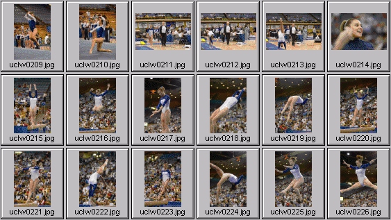 college gymnastics photos