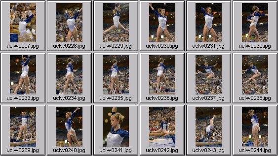 college gymnastics photos