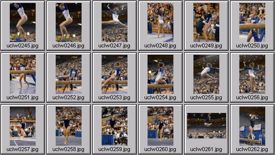 college gymnastics photos