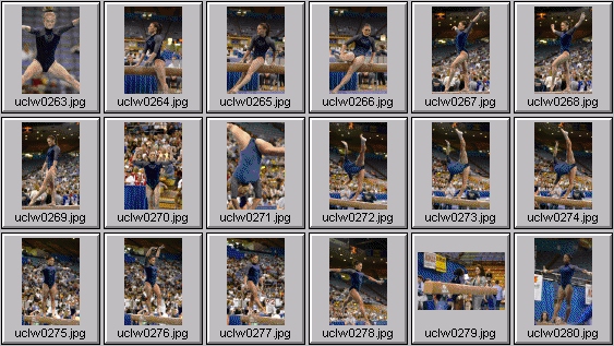 college gymnastics photos