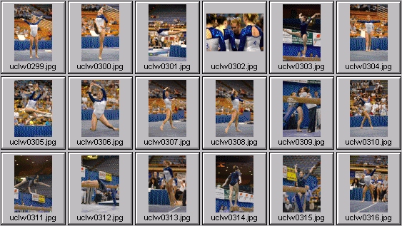 college gymnastics photos