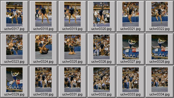 college gymnastics photos