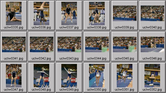 college gymnastics photos