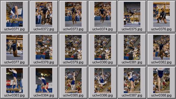 college gymnastics photos