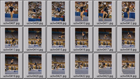 college gymnastics photos