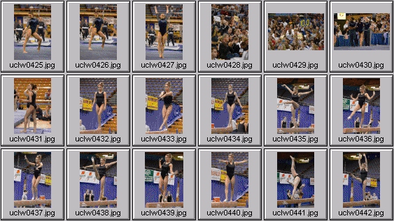 college gymnastics photos