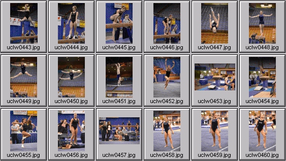 college gymnastics photos