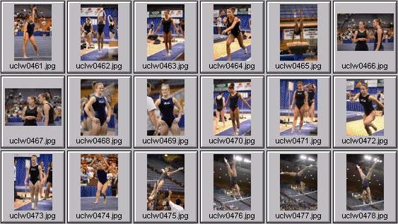 college gymnastics photos